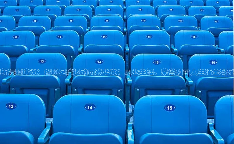 谈球吧顺丰新标题建议：揭秘足球运动员张华文：职业生涯、荣誉和个人生活全揭秘