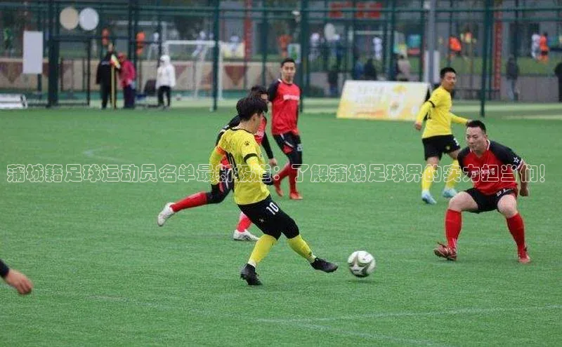 谈球吧体育官网入口遥望科技蒲城籍足球运动员名单最新报道：了解蒲城足球界的实力担当们！