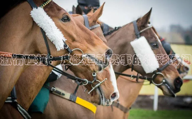 谈球吧网站诸葛科技激情碰撞：皮艇运动赛事的精彩瞬间