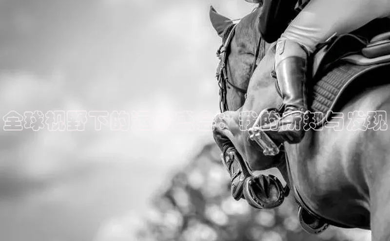 全球视野下的运动盛会：我的所知与发现