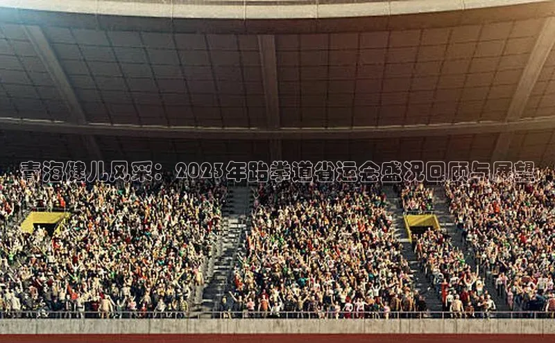 青海健儿风采：2023年跆拳道省运会盛况回顾与展望