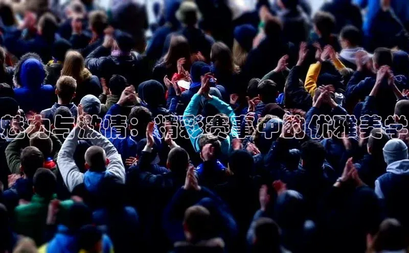 魅力与激情：精彩赛事中的优雅美学