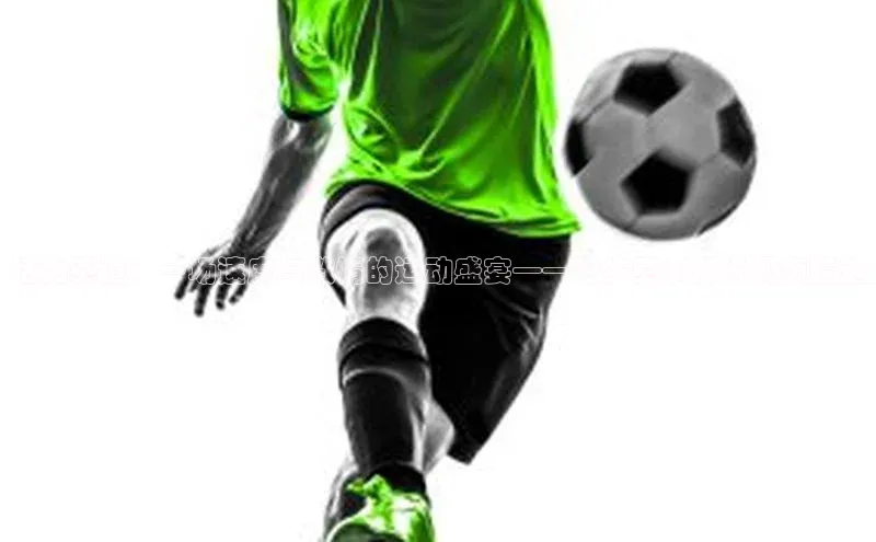 活力赛道：一场速度与激情的运动盛宴——跑步赛事解说视频精选