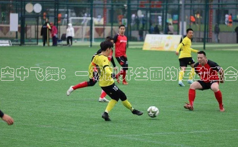 空中飞舞：一场别开生面的运动盛会