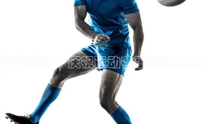 辉煌落幕：庆祝运动赛事圆满成功