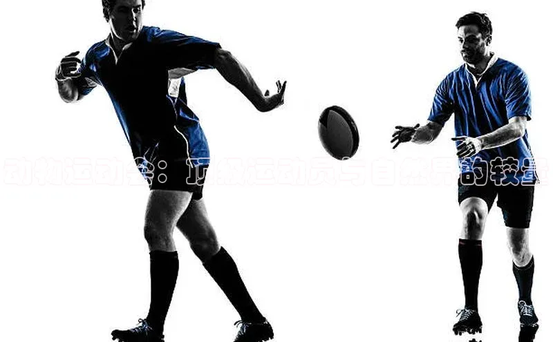 动物运动会：顶级运动员与自然界的较量