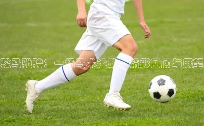 骏马驰骋：一场马术运动的精彩回顾与展望