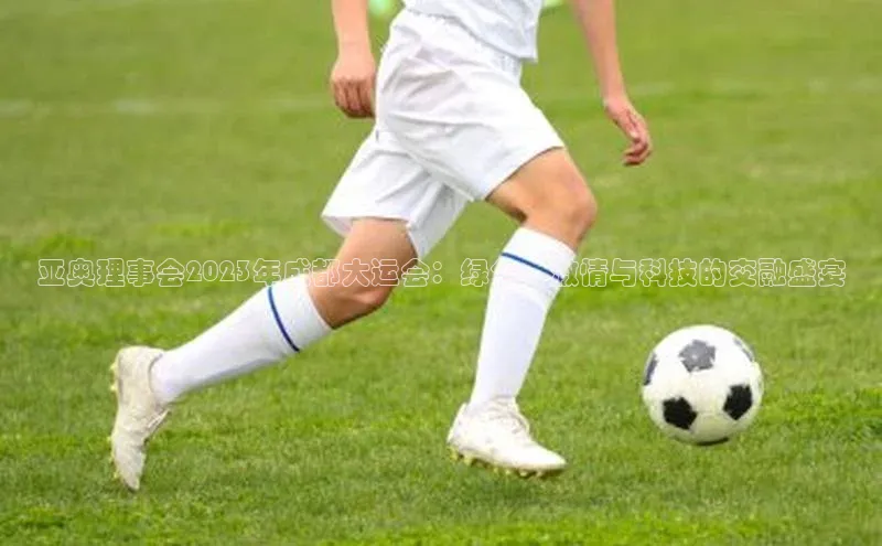 亚奥理事会2023年成都大运会：绿色、激情与科技的交融盛宴