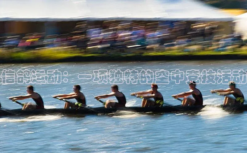 信鸽运动：一项独特的空中竞技活动