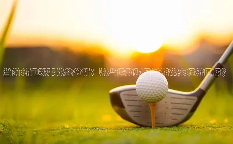 当前热门赛事收益分析：哪些运动项目最能带来经济回报？