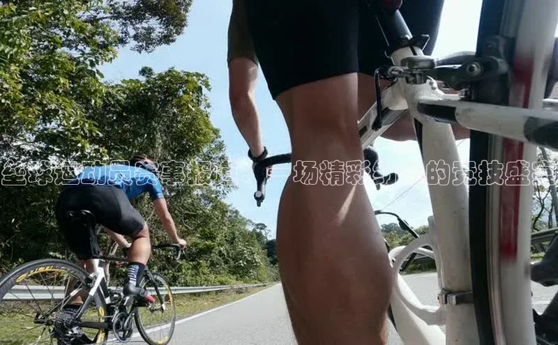 垒球运动员赛事报道：一场精彩纷呈的竞技盛宴