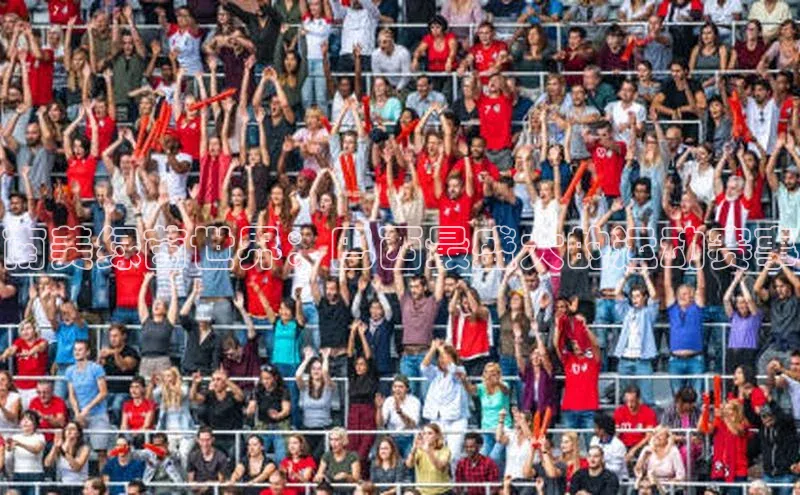 南美绿茵世界：巴西最盛大的运动赛事