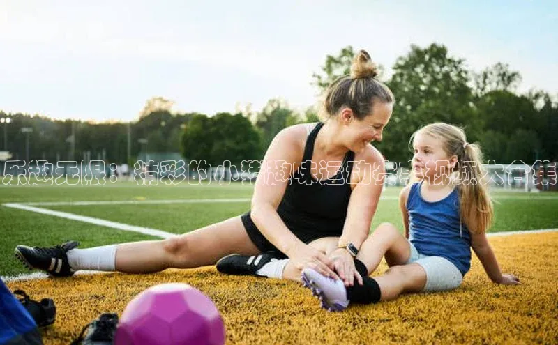乐趣无限：精彩的小猪趣味运动赛事视频大合集